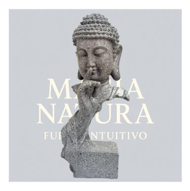 Figura Buda Meditación